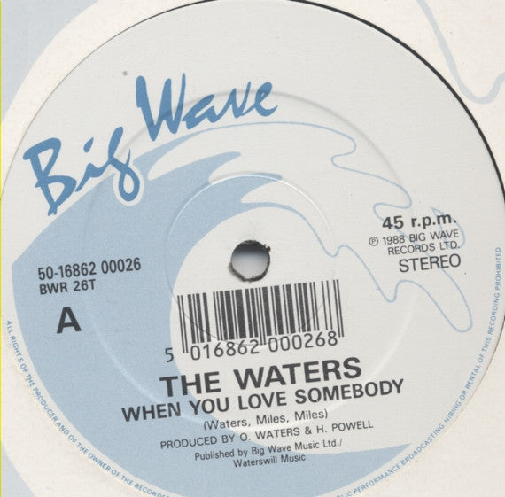 The Waters : When You Love Somebody (12")
