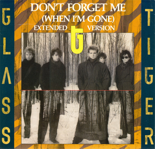Glass Tiger : Don't Forget Me (When I'm Gone) (Extended Version) (12")