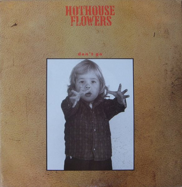 Hothouse Flowers : Don't Go (12", Single)