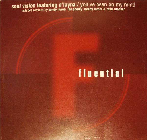 Soul Vision Featuring D'Layna : You've Been On My Mind (2x12")