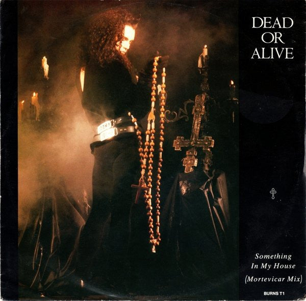 Dead Or Alive : Something In My House (Mortevicar Mix) (12", Single)