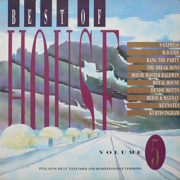 Various : Best Of House Volume 5 (LP, Comp)