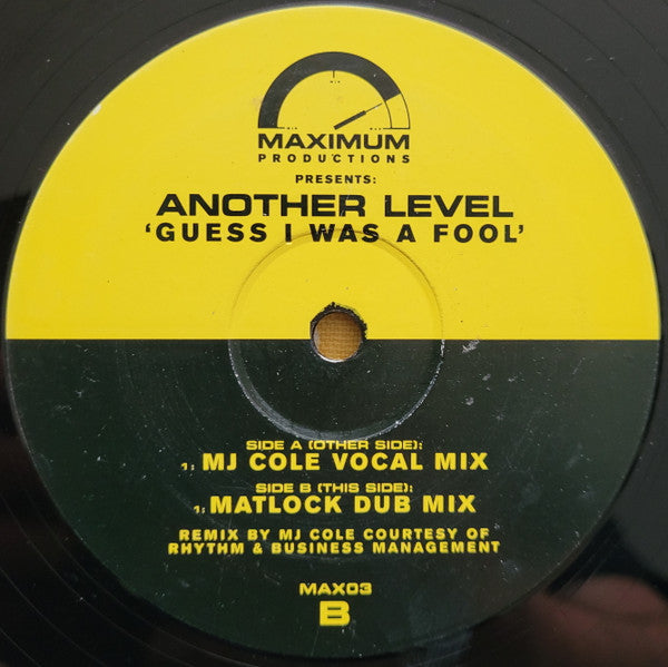 Another Level : Guess I Was A Fool (12")