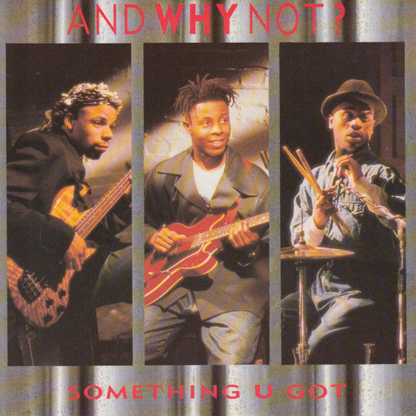 And Why Not? : Something U Got (7", Single)