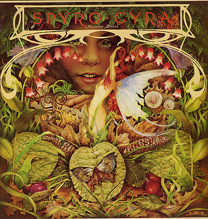 Spyro Gyra : Morning Dance (LP,Album,Reissue)