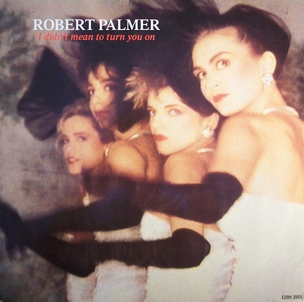 Robert Palmer : I Didn't Mean To Turn You On (12")